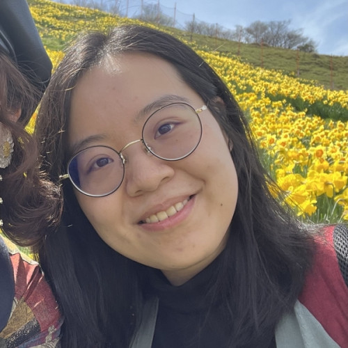 Fea - Basic computer tutor - $16/h