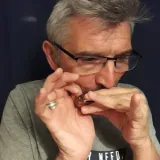 Francois-edouard - Prof d'harmonica - Pocé-sur-Cisse