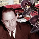 Nell - Prof de français - Sion