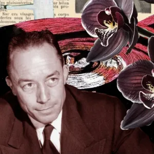 Nell - Prof de français - Sion