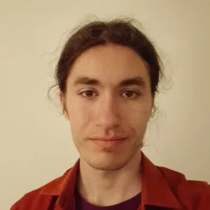 Adelin - Profesor de matematică - Timișoara