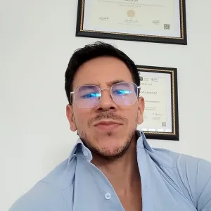 THE - profesor de reforzamiento académico - Libano
