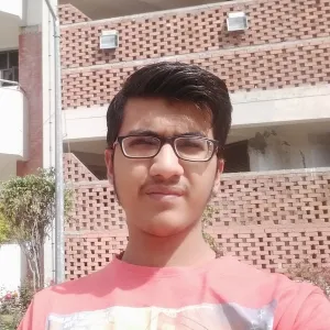 Ankit - Physics tutor - Auckland