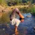 Abhishek - Yoga instructor - Jamshedpur