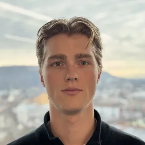 Friedrich - Lehrkraft für Mathematik - Zürich