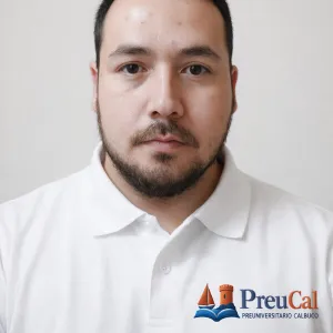 Preuniversitario - Profesor de preparación psu - matemática - Calbuco