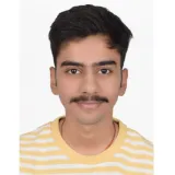 Hrishi - Accounting tutor - New Delhi