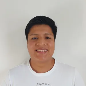 Nelson - Profesor de álgebra - Santiago