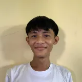 Aldrin casio - Mathematics tutor - Philippi