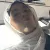 Tasnim - aide aux devoirs - Grenoble