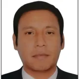 Ariana - profesor de programación - Chimbote