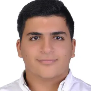 Mourad - Maths tutor - East Lansing