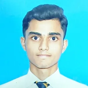 Muhammad - Maths tutor - Anniston