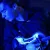 Eloy - Music production tutor - Bronxville