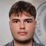 Silviu - History tutor - Summit Township