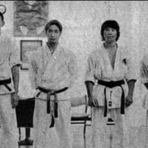Lion - Martial arts tutor - Aptos
