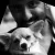 Sundar - Accounting tutor - Vellore