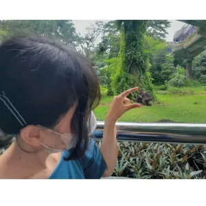 Zsizsi - Korean tutor - Kecamatan Tambun Utara