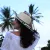 Marina - Prof de coaching de busca de empregos - Parque Joquei Club