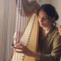 Cours de harpe classique, celtique ou arrangement de chansons pour niveau débutants ou intermédiaires