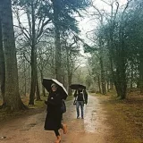 Lochni - Graduate Diploma in Law tutor - Dundee