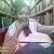 Jay-Dene - English tutor - Cape Town