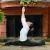 Isabella - Hatha yoga instructor - Bath