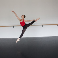 Professeure et danseuse diplômée propose  des de cours danse classique et de stretching tous niveaux