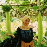 Selly - Guru agronomi - Pontianak Tenggara