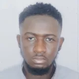 Okeowo - Wordpress tutor - Lekki