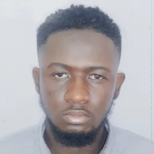 Okeowo - Wordpress tutor - Lekki