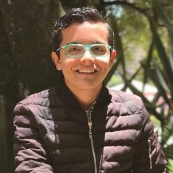 Student of last semester of Economics of the Universidad de los Andes