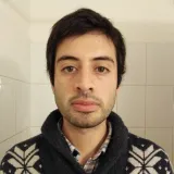 Bastian - profesor de inglés - Curicó