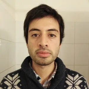 Bastian - profesor de inglés - Curicó