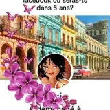 Chris - Prof de français - Vaux-le-Pénil