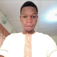 I am a student of Ekiti State University, Ado Ekiti, I am studying Science Laboratory Technology, Biotechnology technique to be precise, I am in 400L... I can teach Biology both in Secondary (SS1 to S