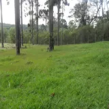 Jorge - Prof de ecologia - Curitiba