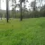 Jorge - Prof de ecologia - Curitiba