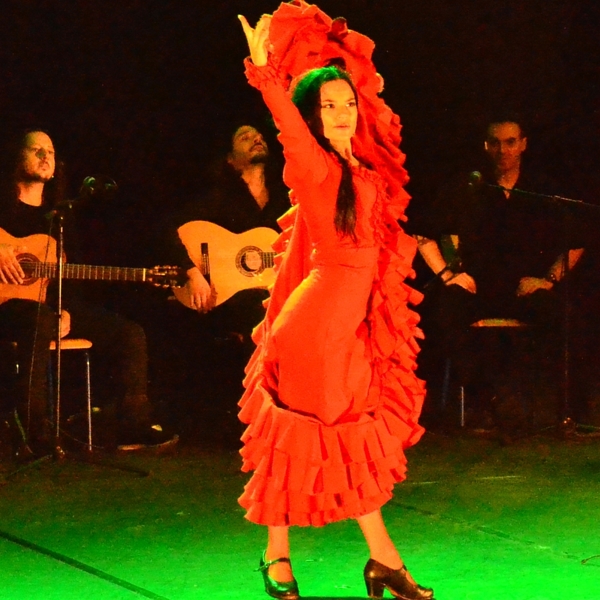 Prof depuis 10 ans. Stage et Cours de danse Flamenco et Sevillanas à Lyon. Donne Cours Particuliers individuel et collectif