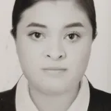 Diana - asesor de tesis - Ocoyoacac