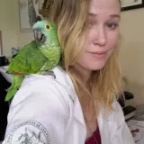 Iandara - Professor de inglês - São Paulo