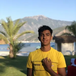 Faris - Physics tutor - Harrow