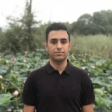 Arman - Leraar Wiskunde - Rotterdam