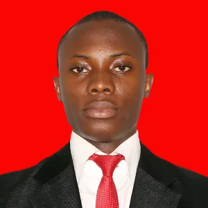 Ikenna - Economics tutor - Benin city