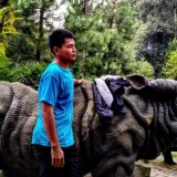Martinus - Guru renang - Bekasi