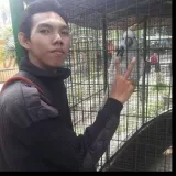 Adi - Guru ilmu komputer dasar - Kecamatan Kedaton