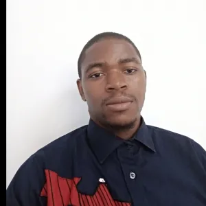 Ifesochi - History tutor - Abuja