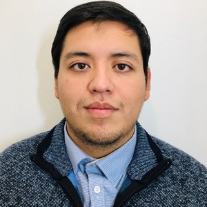 Oscar - Computer Skills tutor - Villeurbanne