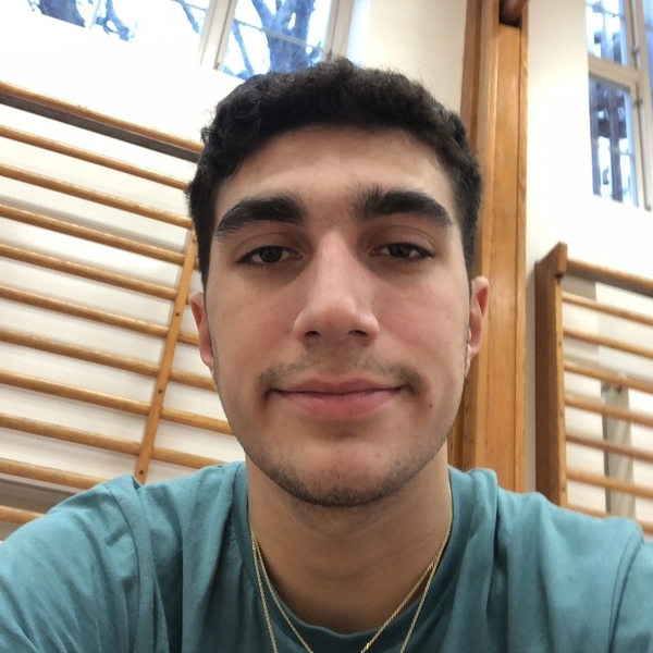 David - Civics tutor - Frederiksberg