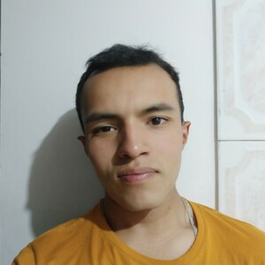 David - Graphic design tutor - Bogotá